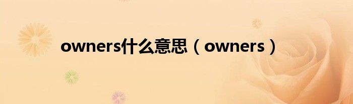 owners什么意思（owners）