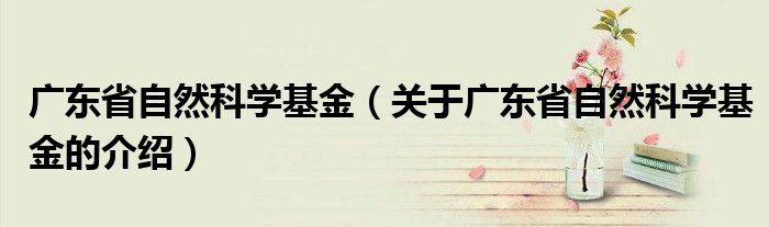 广东省自然科学基金（关于广东省自然科学基金的介绍）