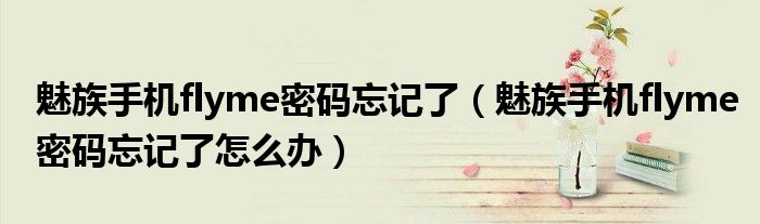 魅族手机flyme密码忘记了（魅族手机flyme密码忘记了怎么办）