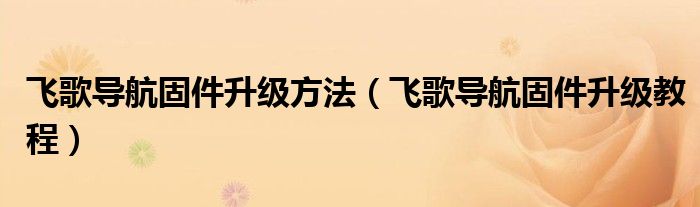 飞歌导航固件升级方法（飞歌导航固件升级教程）