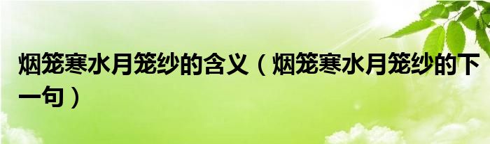烟笼寒水月笼纱的含义（烟笼寒水月笼纱的下一句）