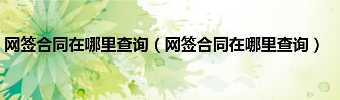 网签合同在哪里查询（网签合同在哪里查询）