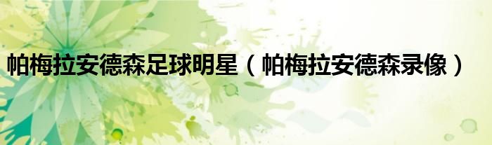 帕梅拉安德森足球明星（帕梅拉安德森录像）