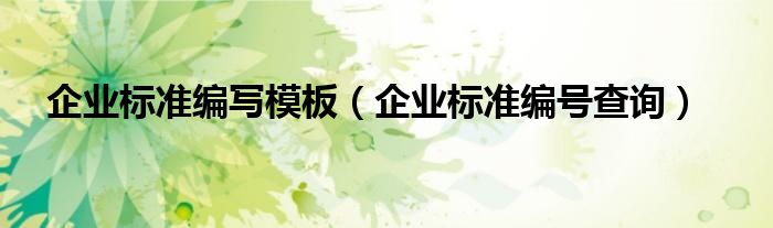 企业标准编写模板（企业标准编号查询）