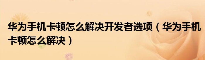 华为手机卡顿怎么解决开发者选项（华为手机卡顿怎么解决）