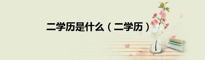 二学历是什么（二学历）