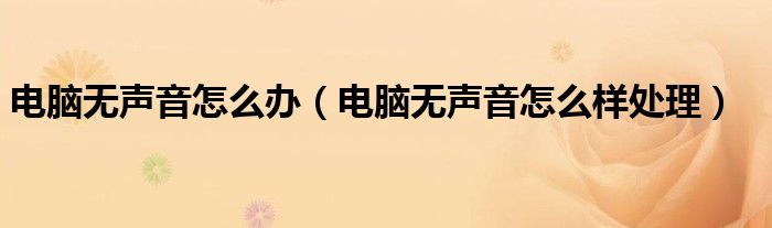 电脑无声音怎么办（电脑无声音怎么样处理）
