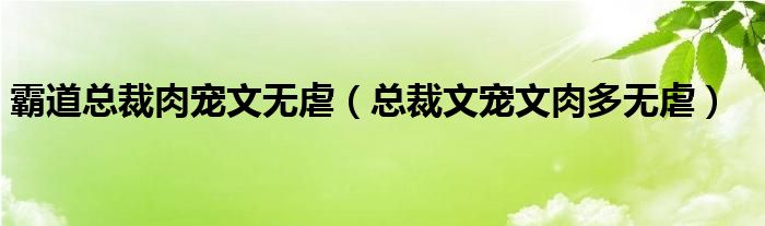 霸道总裁肉宠文无虐（总裁文宠文肉多无虐）
