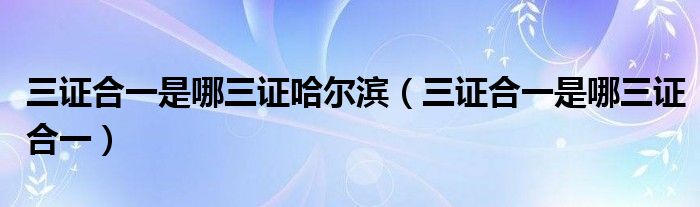 三证合一是哪三证哈尔滨（三证合一是哪三证合一）