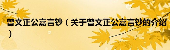 曾文正公嘉言钞（关于曾文正公嘉言钞的介绍）