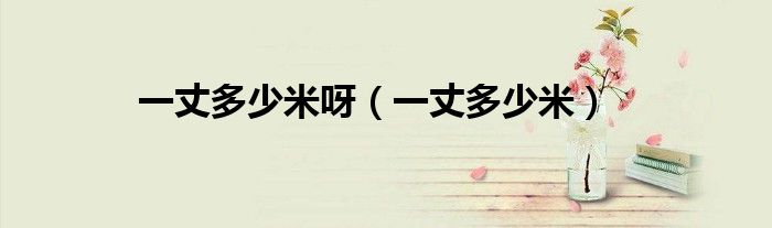 一丈多少米呀（一丈多少米）