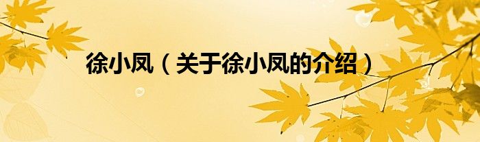 徐小凤（关于徐小凤的介绍）