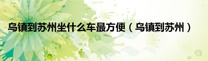 乌镇到苏州坐什么车最方便（乌镇到苏州）