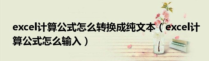 excel计算公式怎么转换成纯文本（excel计算公式怎么输入）