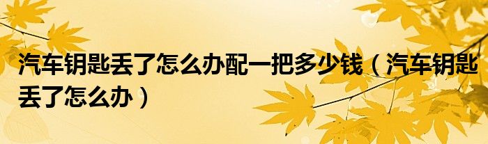 汽车钥匙丢了怎么办配一把多少钱（汽车钥匙丢了怎么办）