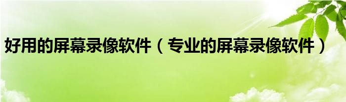 好用的屏幕录像软件（专业的屏幕录像软件）