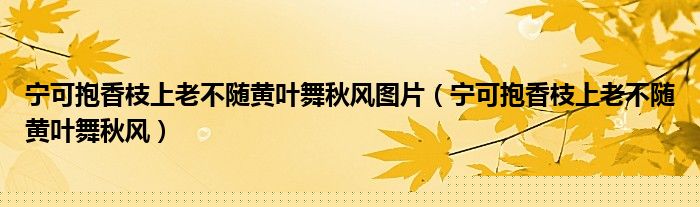 宁可抱香枝上老不随黄叶舞秋风图片（宁可抱香枝上老不随黄叶舞秋风）