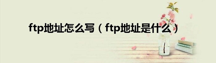 ftp地址怎么写（ftp地址是什么）