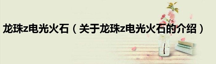 龙珠z电光火石（关于龙珠z电光火石的介绍）