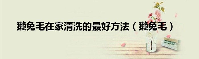 獭兔毛在家清洗的最好方法（獭兔毛）