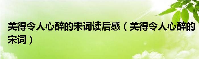 美得令人心醉的宋词读后感（美得令人心醉的宋词）