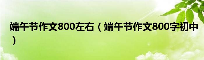 端午节作文800左右（端午节作文800字初中）