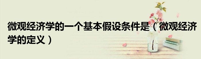 微观经济学的一个基本假设条件是（微观经济学的定义）