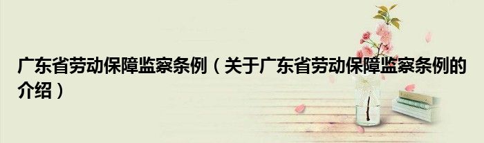 广东省劳动保障监察条例（关于广东省劳动保障监察条例的介绍）
