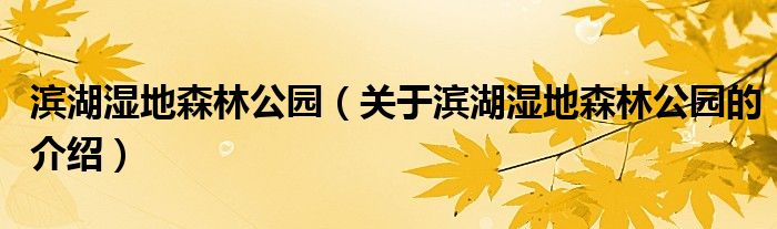 滨湖湿地森林公园（关于滨湖湿地森林公园的介绍）