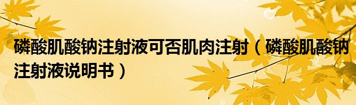 磷酸肌酸钠注射液可否肌肉注射（磷酸肌酸钠注射液说明书）
