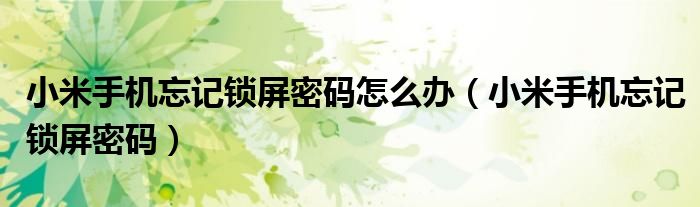小米手机忘记锁屏密码怎么办（小米手机忘记锁屏密码）