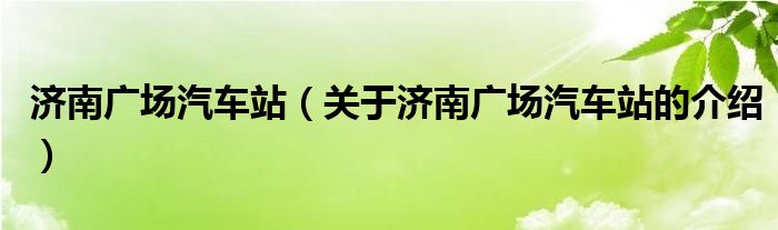 济南广场汽车站（关于济南广场汽车站的介绍）