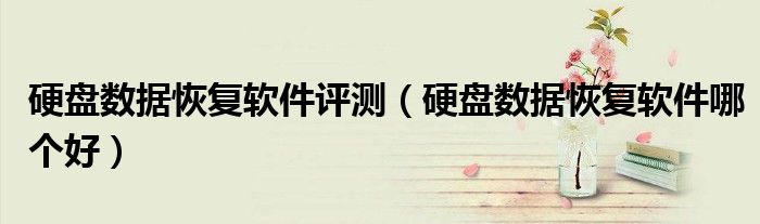 硬盘数据恢复软件评测（硬盘数据恢复软件哪个好）