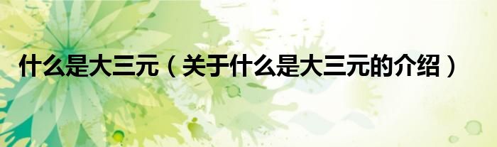 什么是大三元（关于什么是大三元的介绍）