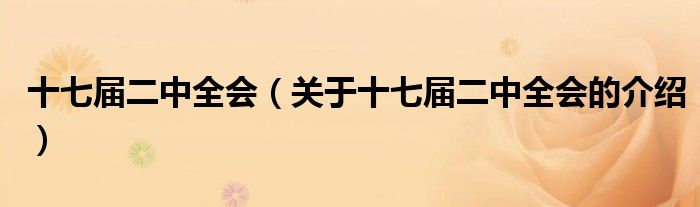 十七届二中全会（关于十七届二中全会的介绍）