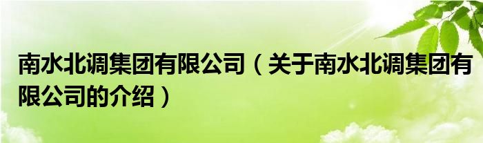 南水北调集团有限公司（关于南水北调集团有限公司的介绍）