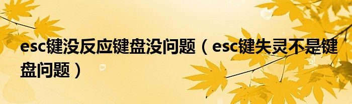 esc键没反应键盘没问题（esc键失灵不是键盘问题）
