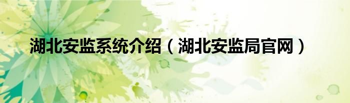 湖北安监系统介绍（湖北安监局官网）