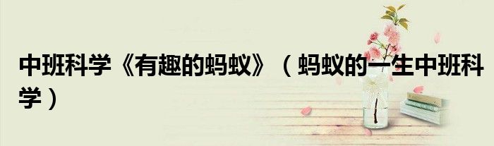 中班科学《有趣的蚂蚁》（蚂蚁的一生中班科学）