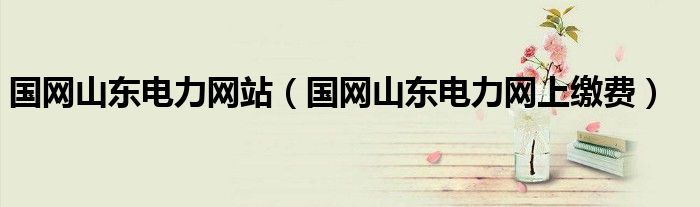 国网山东电力网站（国网山东电力网上缴费）