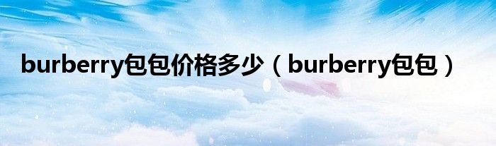 burberry包包价格多少（burberry包包）