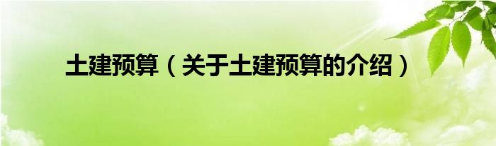 土建预算（关于土建预算的介绍）