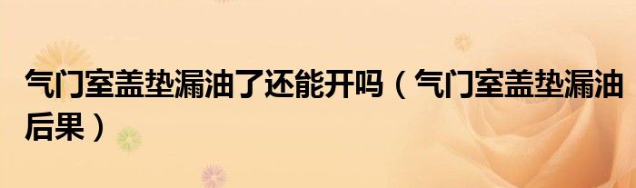 气门室盖垫漏油了还能开吗（气门室盖垫漏油后果）