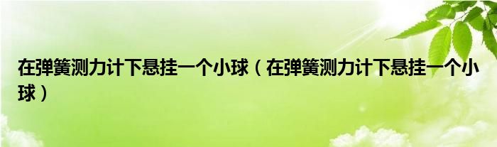 在弹簧测力计下悬挂一个小球（在弹簧测力计下悬挂一个小球）