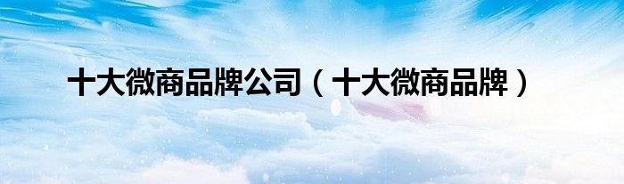 十大微商品牌公司（十大微商品牌）