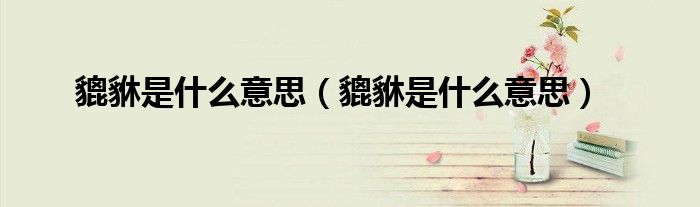 貔貅是什么意思（貔貅是什么意思）