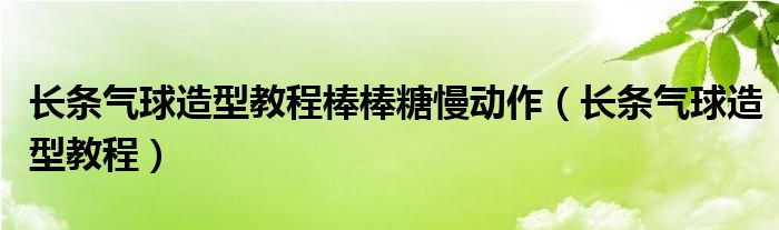 长条气球造型教程棒棒糖慢动作（长条气球造型教程）