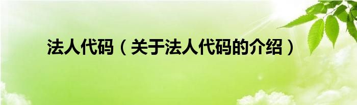 法人代码（关于法人代码的介绍）