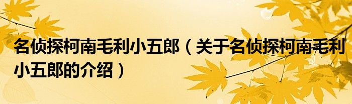 名侦探柯南毛利小五郎（关于名侦探柯南毛利小五郎的介绍）