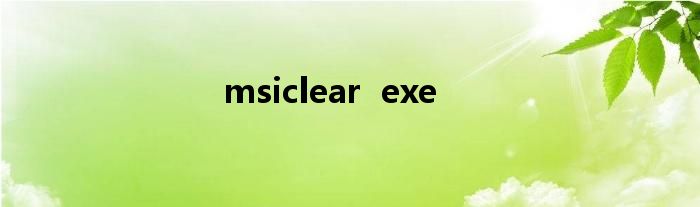 msiclear  exe